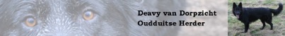 banner-deavy-van-dorpzicht-4
